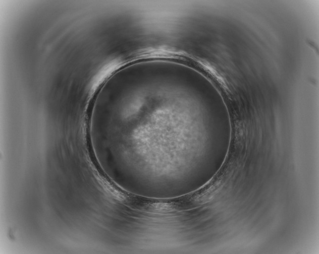 X0000096951463200802151226