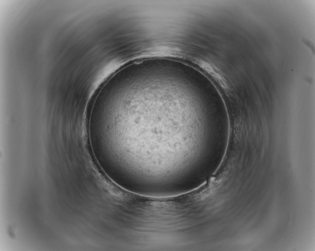 X0000096951469200802151226