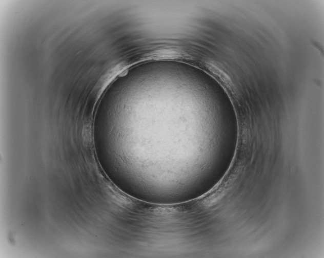X0000096951473200802151226