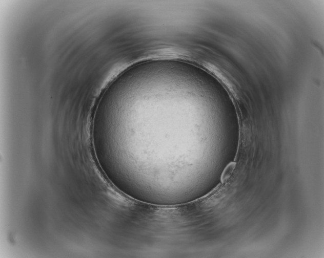 X0000096951477200802151226