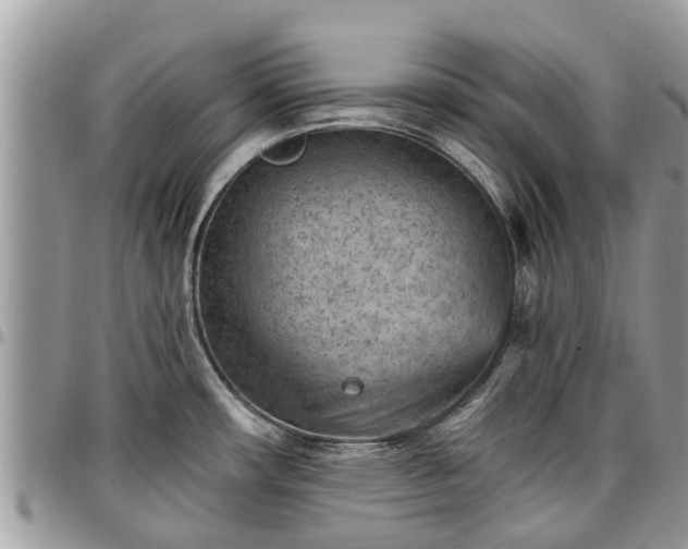 X0000096951482200802151226