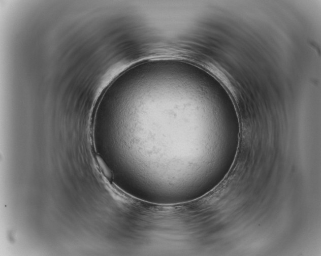 X0000096951485200802151226