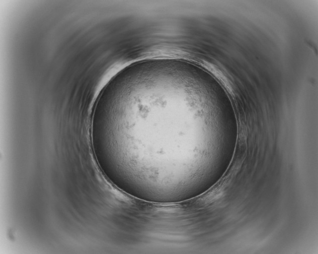X0000096951486200802151226