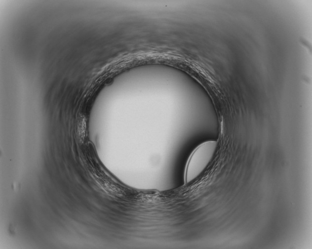 X0000096951492200802151225