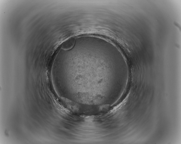 X0000096951497200802151225