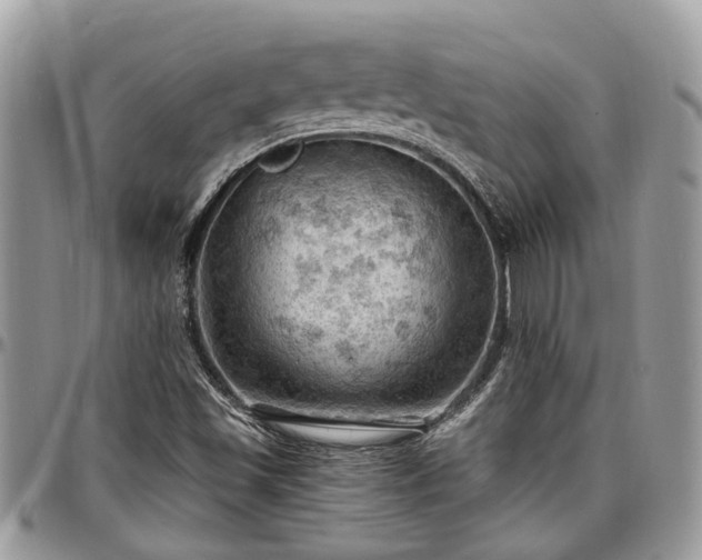 X0000096951501200802151225