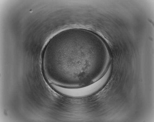 X0000096951508200802151225