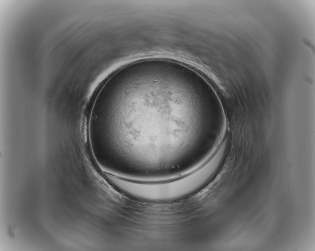 X0000096951510200802151225