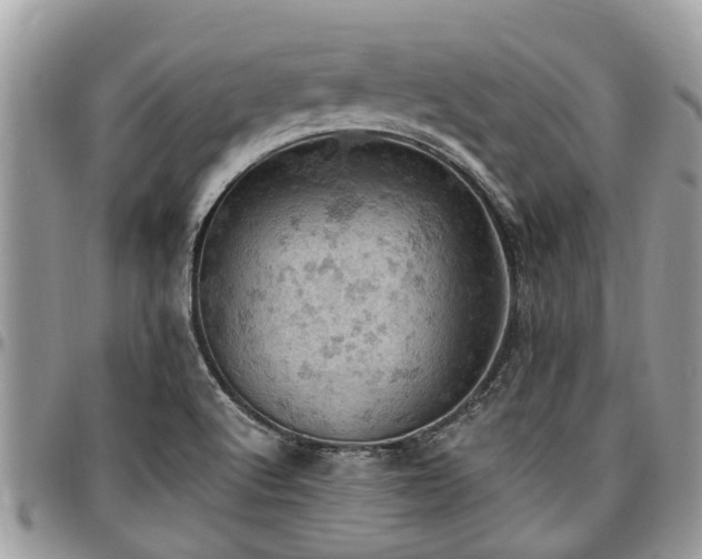 X0000096951512200802151225