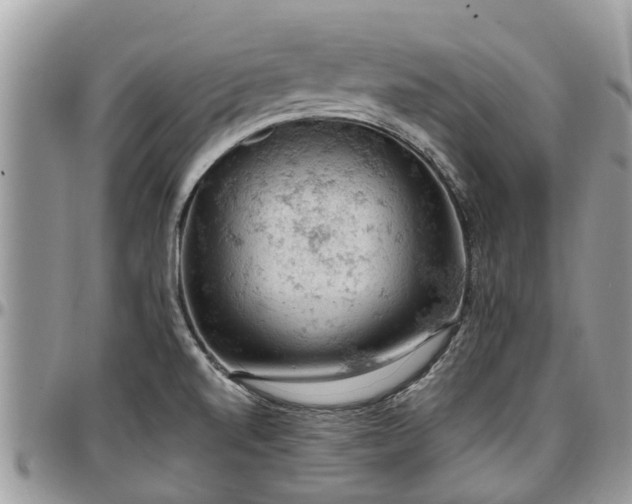 X0000096951520200802151225