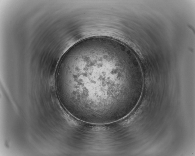 X0000096951521200802151225