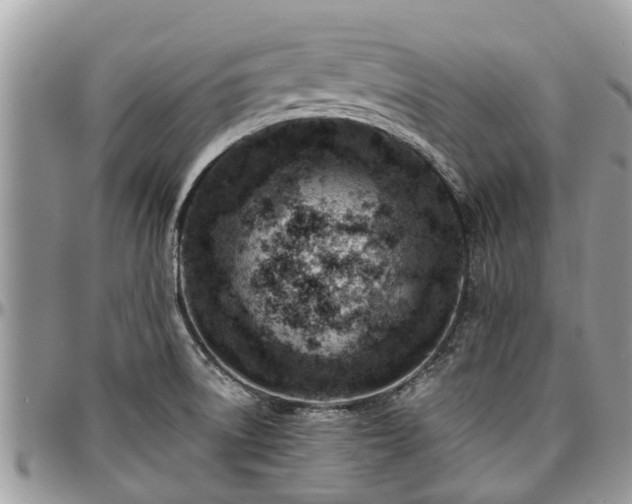 X0000096951522200802151225