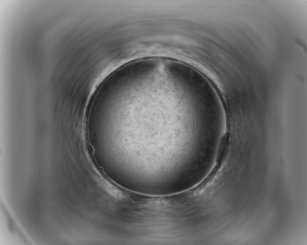 X0000096951525200802151225