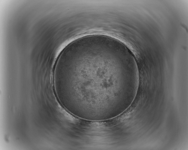 X0000096951527200802151225