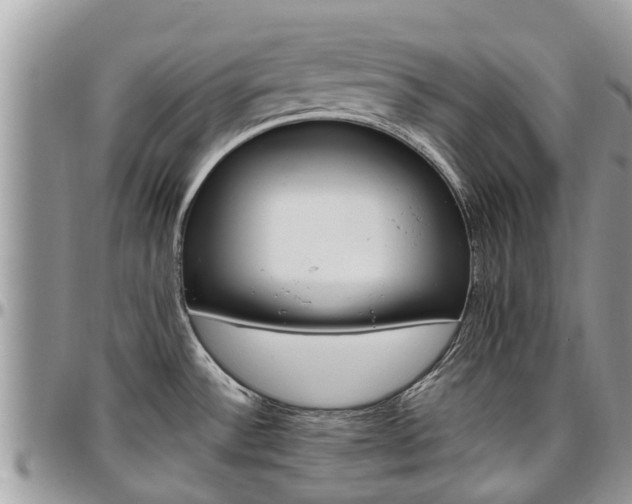X0000096951532200802151226