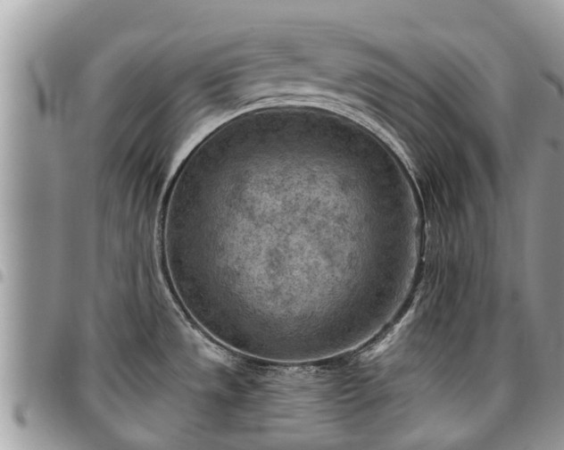 X0000096951533200802151226