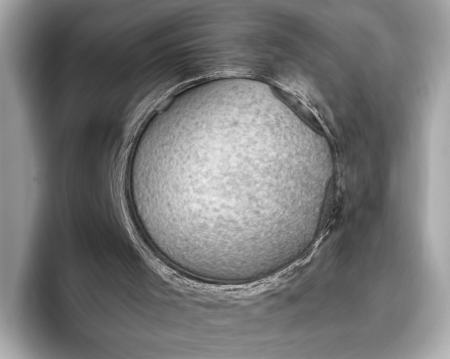 X0000096950001200802221331