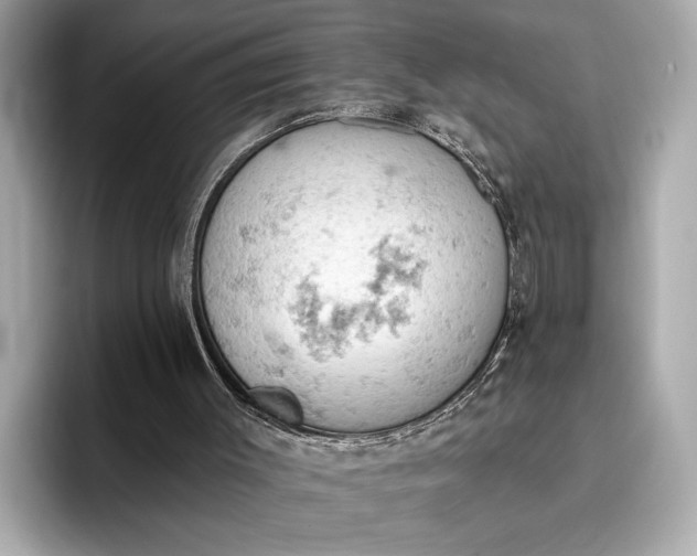 X0000096950003200802221331