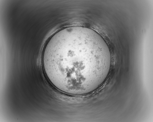 X0000096950004200802221331