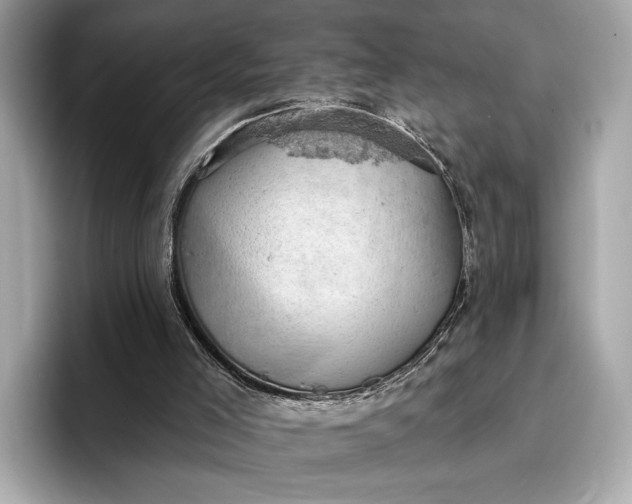 X0000096950005200802221331