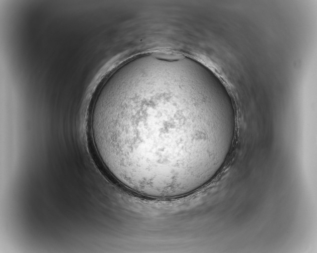 X0000096950007200802221331