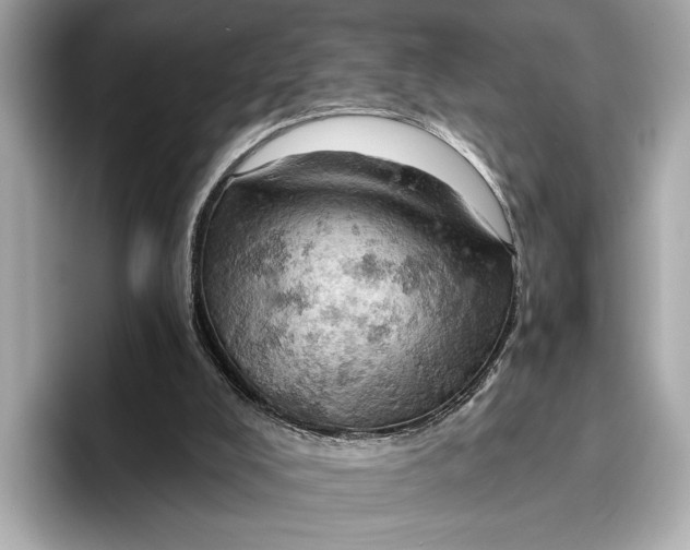 X0000096950008200802221331