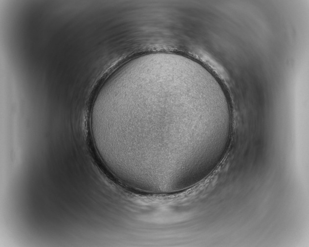 X0000096950009200802221331