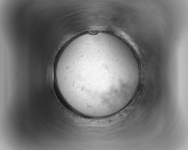 X0000096950011200802221331