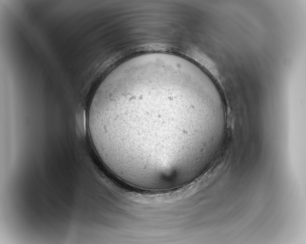 X0000096950013200802221331