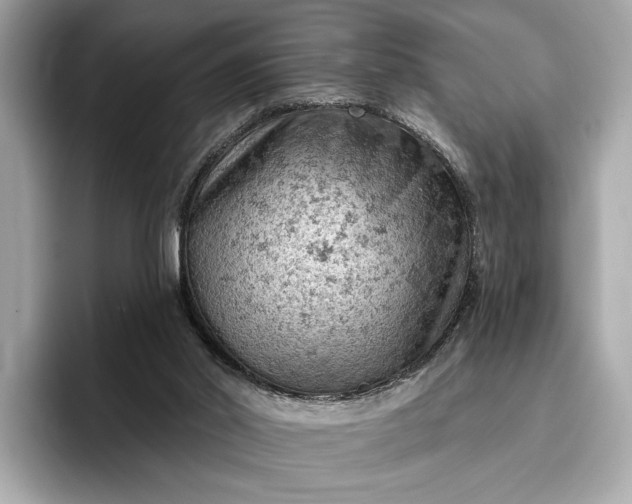 X0000096950014200802221331