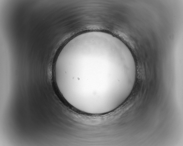 X0000096950015200802221331