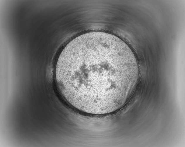 X0000096950016200802221331