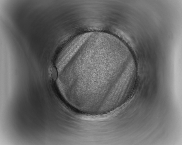 X0000096950017200802221331