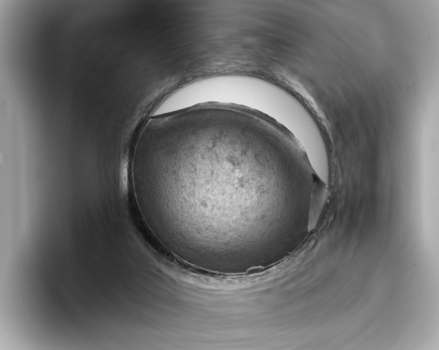 X0000096950019200802221331