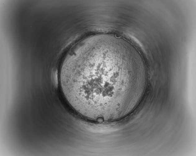 X0000096950020200802221331
