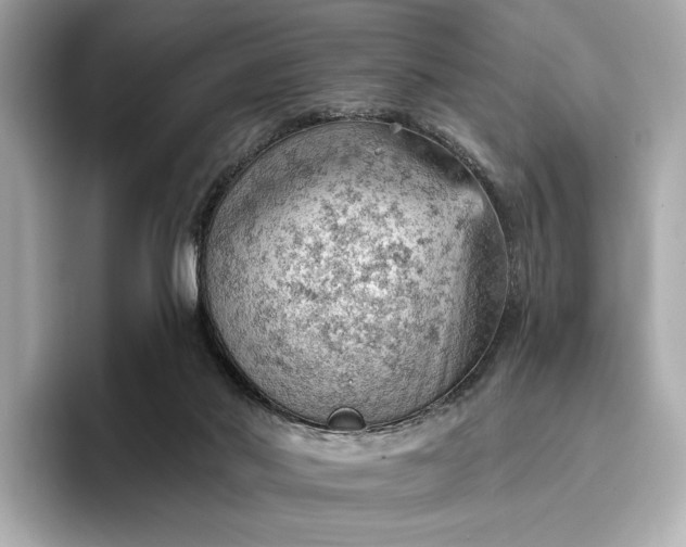 X0000096950022200802221331