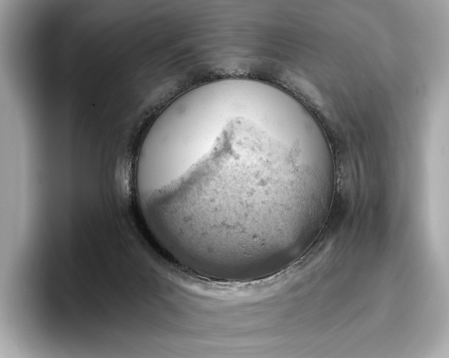 X0000096950023200802221331