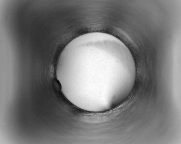 X0000096950025200802221331