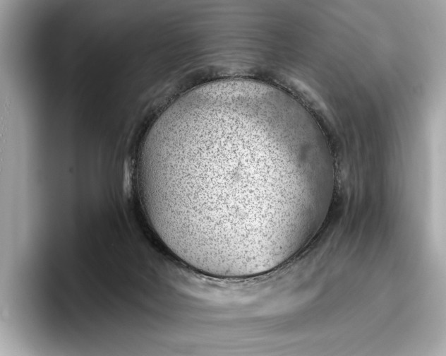 X0000096950026200802221331