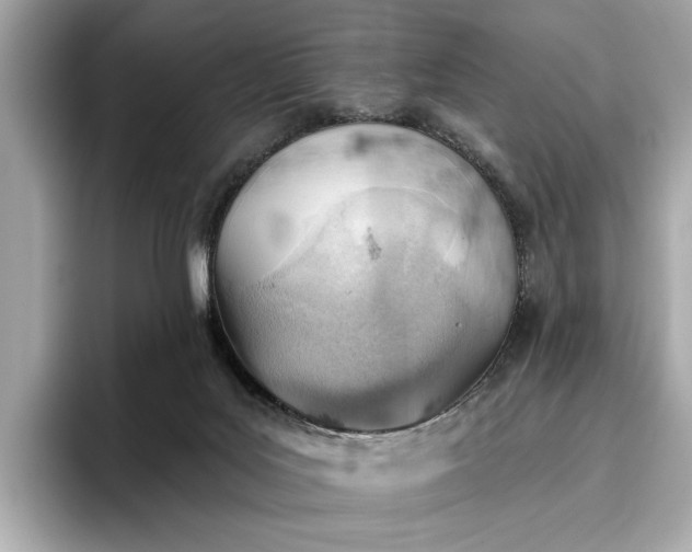 X0000096950027200802221331