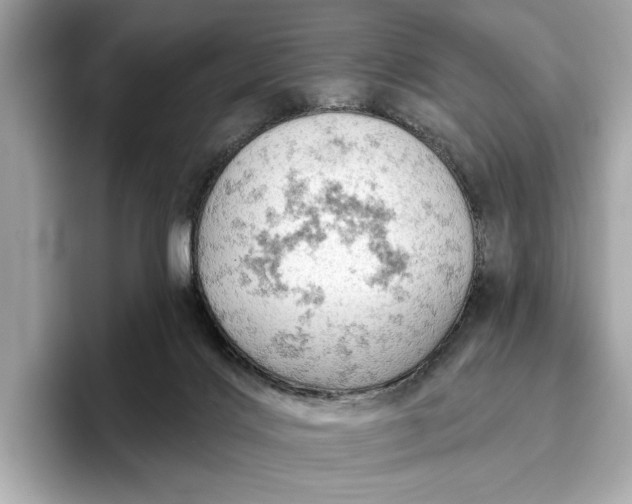 X0000096950028200802221331