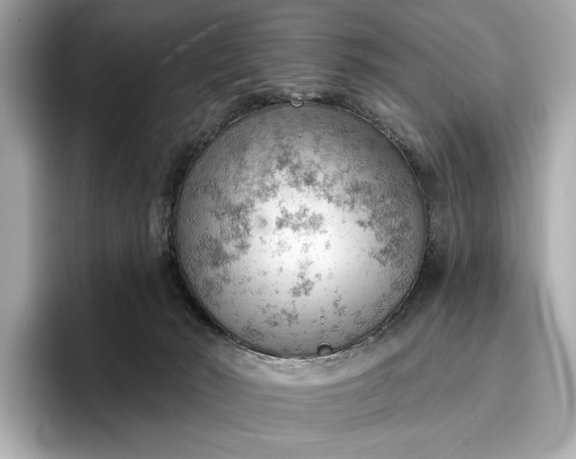 X0000096950030200802221331