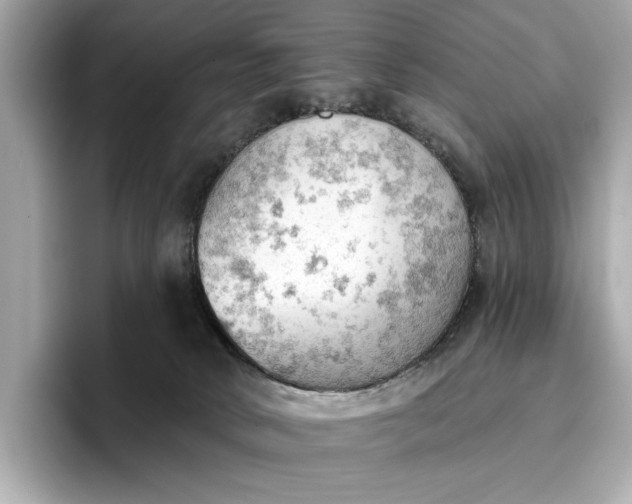 X0000096950034200802221331