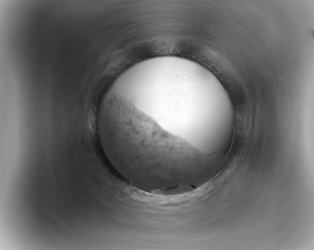 X0000096950035200802221331