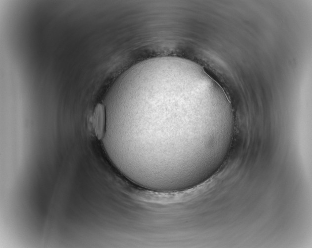 X0000096950037200802221331
