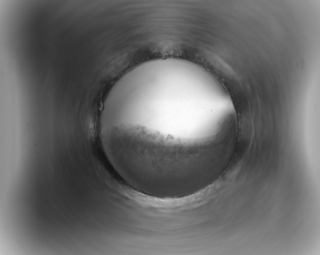 X0000096950039200802221331