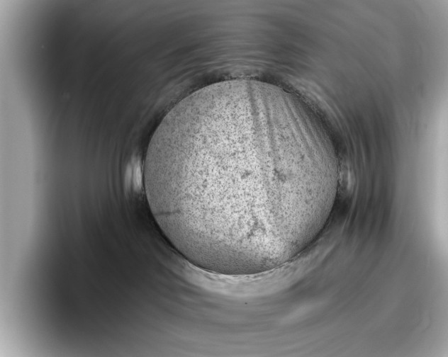 X0000096950046200802221331