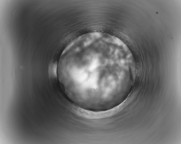 X0000096950047200802221331