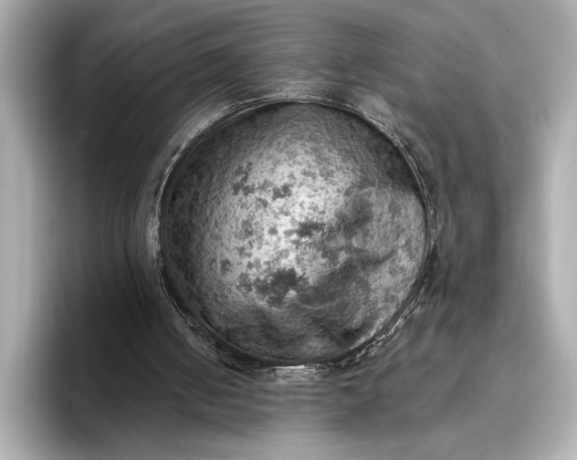 X0000096950050200802221330