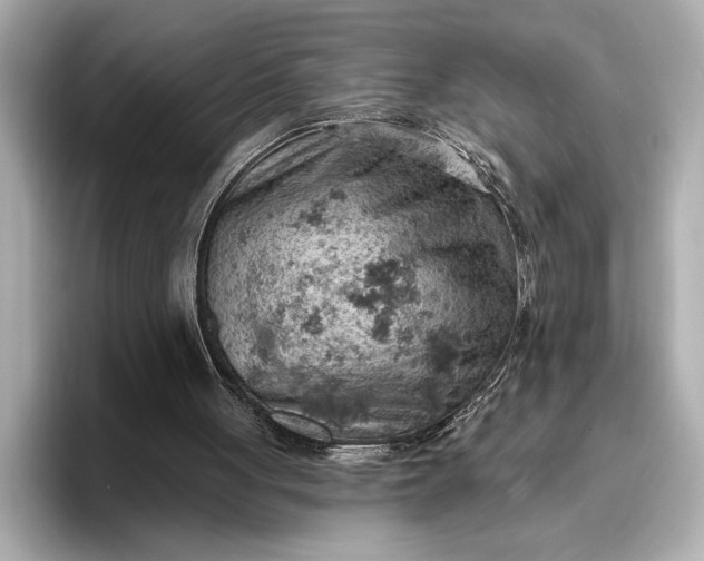 X0000096950051200802221330